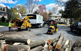 Best Tree Mulching  in Joshua, TX
