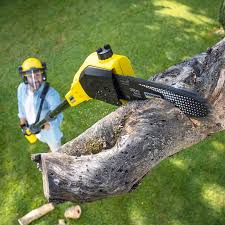 Best Lawn Grading and Leveling  in Joshua, TX