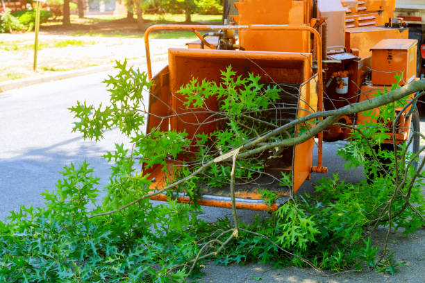 Best Grass Overseeding  in Joshua, TX