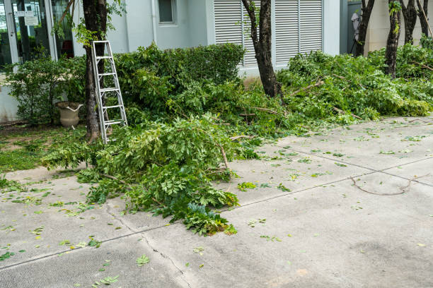 Best Tree Preservation Services  in Joshua, TX